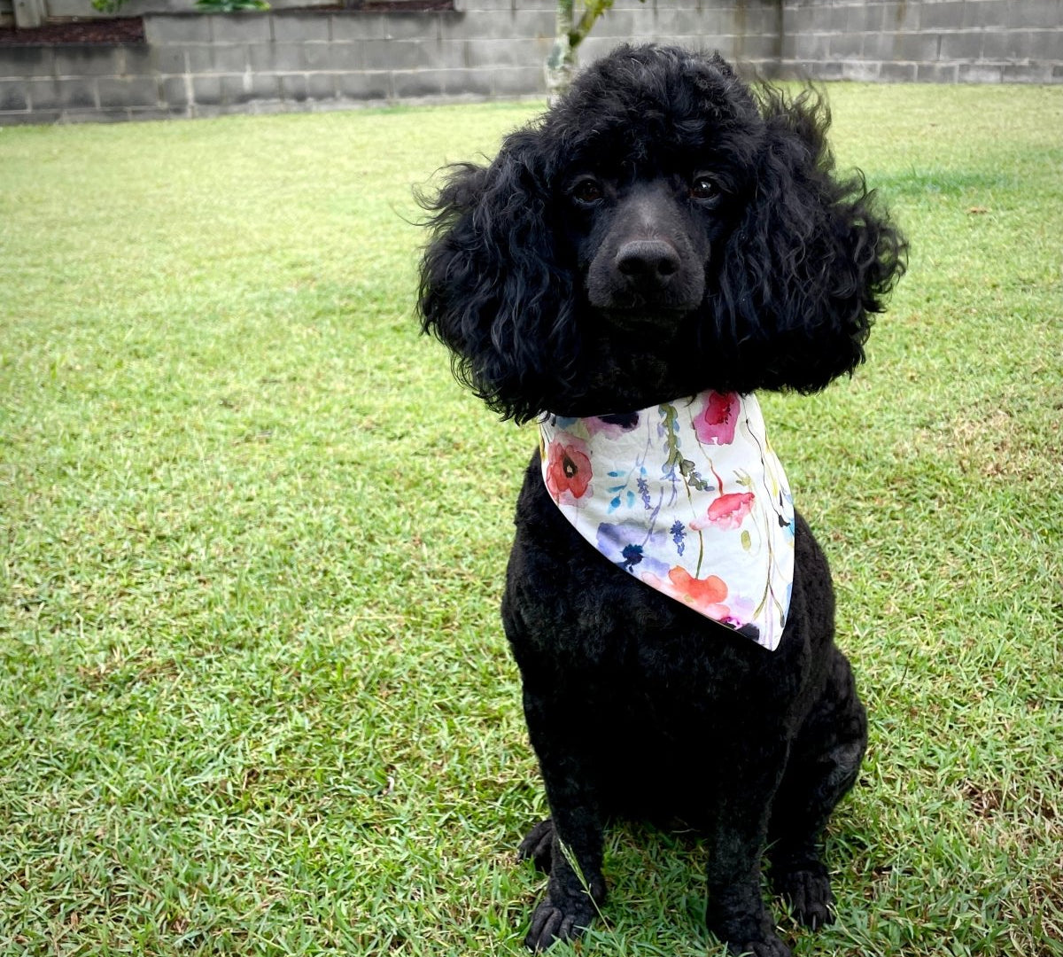 A Fast and Easy Bandanna for your Favourite Four-Legged Friend! - Sewing Gem