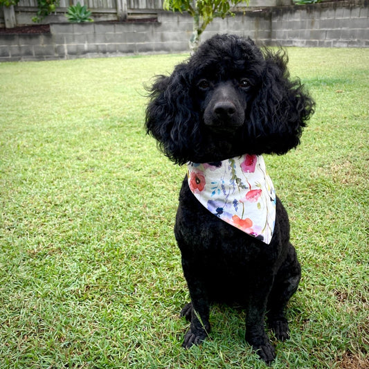 A Fast and Easy Bandanna for your Favourite Four-Legged Friend! - Sewing Gem