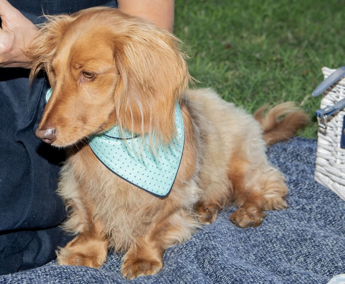 Sewing Gem Round-Up for July and August - What’s new? - Sewing Gem