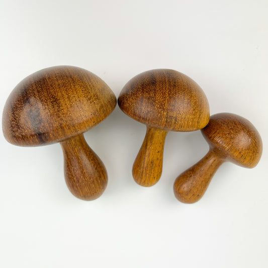 Handmade Wooden Mushroom Darner