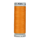 Mettler - Seracycle Thread